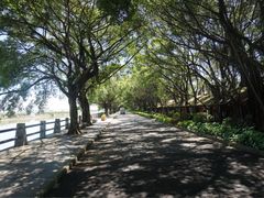 -大湾区中央湿地公园