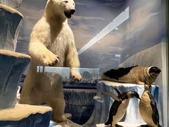 -国家自然博物馆