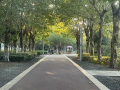 -潜龙渠公园