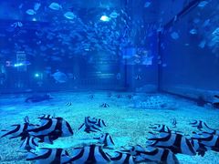 -绿色星球动物主题公园
