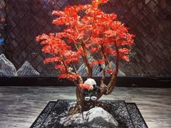 -红辣椒·川菜·火锅(大洋中心店)