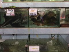 水产区-秋姐美食店(旅游大道店)