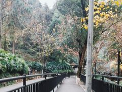 -渣滓洞