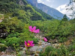 -鹿院坪生态旅游景区