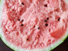 -南汇新场正宗水蜜桃采摘