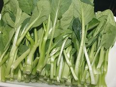 -日照人家·山东老字号