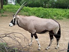 -大连森林动物园