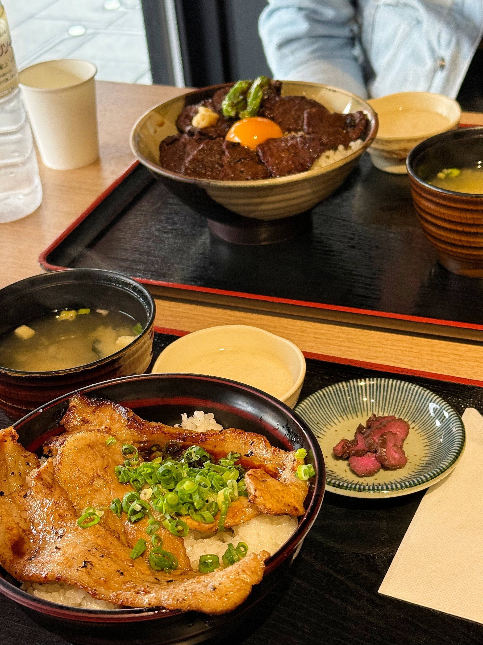 2025樱花季必看❗️东京周边隐藏版芝樱秘境