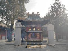 -药王庙(安国市)