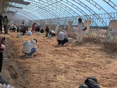 -房山世界地质公园博物馆
