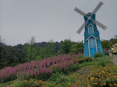 -铁山坪森林公园