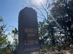 -梧桐山风景名胜区