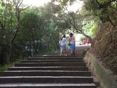 -仙岳公园