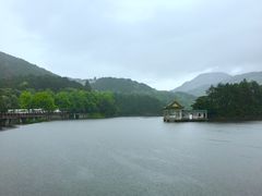 -庐山风景区花径公园