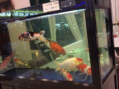 -老虎滩船说·海胆水饺·大连海鲜(老虎滩店)