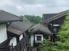 -大唐贡茶院