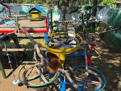 -西霞口神雕山野生动物世界