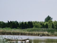 -盐城丹顶鹤湿地生态旅游区
