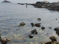 -养马岛旅游度假区