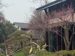 -新荣记(西溪湿地店)