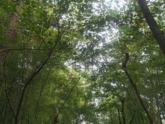 -海东龙宫寺