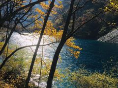 -石磨豆花家常菜·牦牛排土火锅