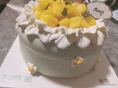 -维尔纳斯·生日蛋糕动物奶油冰淇淋蛋糕(人大店)