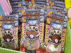-瑞派·关忠动物医院(国瑞店)