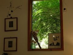 -COTTON CAFE(德信·中外公寓店)