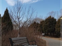 -永定河休闲森林公园