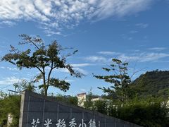 -风云岭森林公园