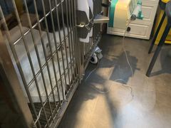 -宠爱国际动物医院· 猫科· 外科·中兽医(长白店)