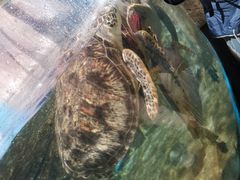 -福州罗源湾海洋世界旅游区