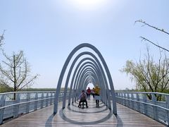 -大兴滨河森林公园