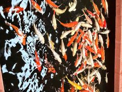 -侠成水上农庄(工业大道店)