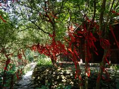 景点-紫云谷景区