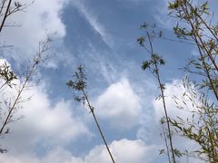 -百翠山居.家飨餐厅
