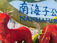 -南海子公园