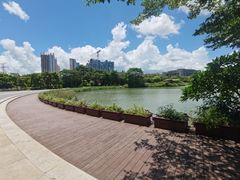 -福田红树林生态公园