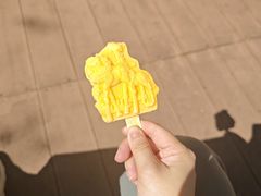 -普洱太阳河森林公园
