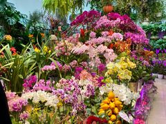 -三旗百汇商品城