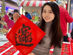 -中集金地美兰城