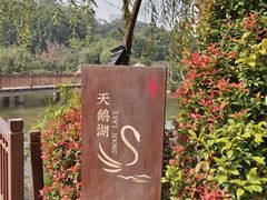 -厦门悦华酒店