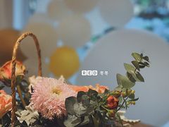 -团子君寿司·茶