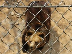 -石家庄市动物园