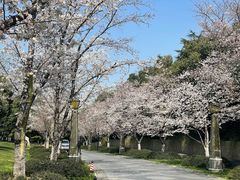 -苏宁钟山国际高尔夫酒店大堂酒廊
