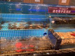 -焰江山海鲜牛排烤肉自助(锦华万达二星店)