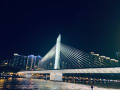 -珠江夜游省总码头
