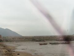 -北岐滩涂