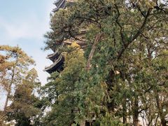 景点-博雅塔